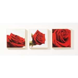  3 Piece Rose Trio Box Art Set