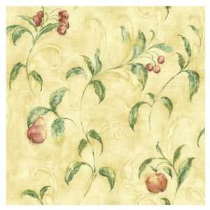 Sunworthy Fruit Scroll Wallpaper AT031623VP  Kitchen 