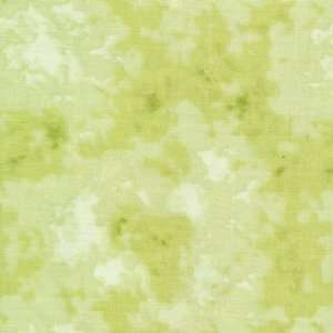  Simple Pleasures quilt fabric by RJR Tonal green blender 