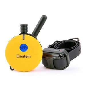  E Collar Technologies Einstein Remote Dog Trainer 3/4 mile 