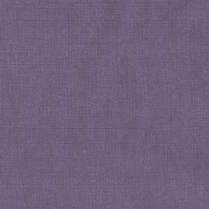  54 Wide Double sided Velveteen Bayberry Blue Fabric By 