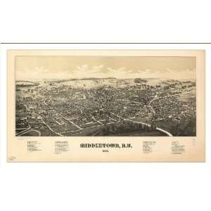 Historic Middletown, New York, c. 1887 (M) Panoramic Map Poster Print 
