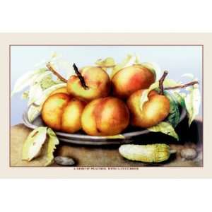  Dish of Peaches with a Cucumber 24X36 Giclee Paper