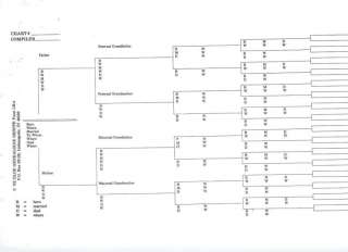 Genealogy     Minibinders   forms   Lineage Charts  