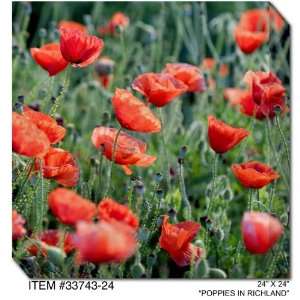  All Weather Art Poppies in Richland Print