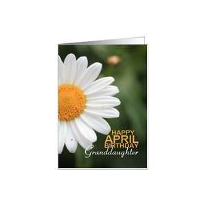   April Birthday   Daisy April Birth Month Flower Card Toys & Games