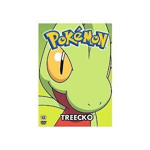  Pokemon All Stars 12 Treecko DVD Toys & Games