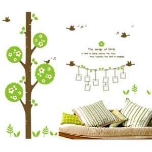   Removable Decal Sticker  Flower Tree with Singing Birds & Photo Frames