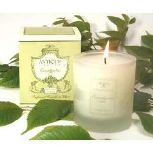   Antique Garden Green Tomato Leaves 233g/8.2oz Perfumed Candle Beauty