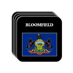 US State Flag   BLOOMFIELD, Pennsylvania (PA) Set of 4 Mini Mousepad 