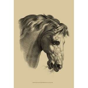  Equestrian Portrait IV   Poster by Vision studio (13x19 