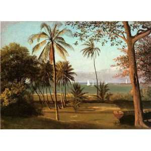  Florida Scene