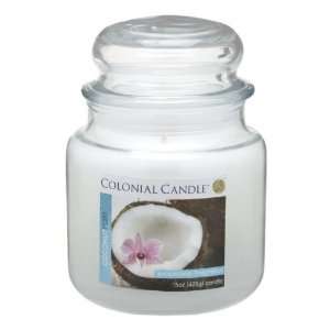  Pack of 4 Coconut Rain Aromatic Jar Candles 15oz