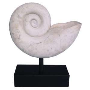 Large Nautilus Sea Shell Resin Figure Statue Table Topper Center Piece 