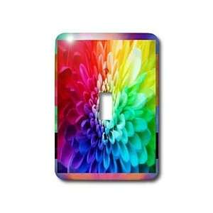 Susan Brown Designs Flower Themes   Colorful Flower   Light Switch 