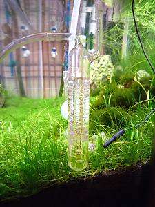 Glass CO2 beetle spiral bubble counter ADA style  