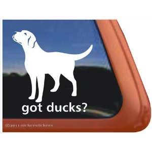  Got Ducks? Labrador Retriever Vinyl Window Decal Dog 