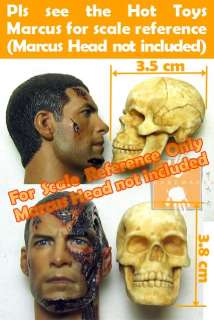   Toys Bloody Skull Head w/ movable jaw & bend able backbone  