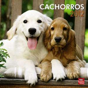 Puppies (Spanish) 2012 Wall Calendar  