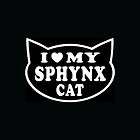 sphynx kittens  