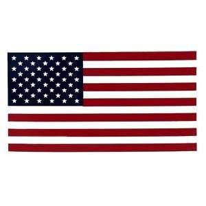  American Flag Magnet (3.75 X 5.75 Inches) 