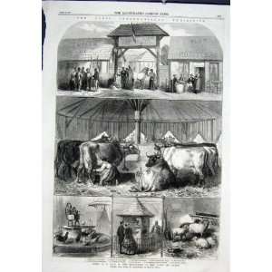  Farm Seine Marne France Paris Exhibition Old Print 1867 