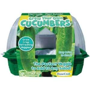  Dunecraft   Grow Your Own Cucumbers (Science) Toys 