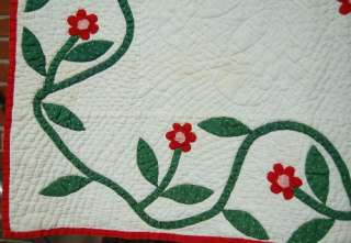   War 1850s Whig Rose Red & Green Applique Antique Quilt ~VINE BORDER