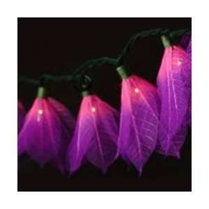 String Lights, Tropical Bloom Flowers, Lavender Patio 