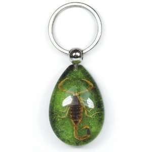  Real Insect Key Chain Golden Scorpion (Colorful Green 