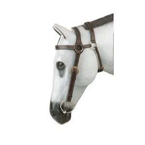  Down Under Extended Head Bridle
