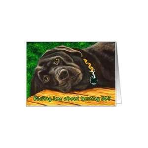  Funny Birthday ~ 36 Years Old ~ Labrador Dog Card Toys 