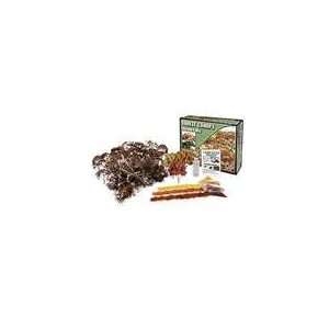  F1663 Woodland Scenics Autumn Mix Forest Canopy Kit Toys & Games