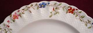 SPODE china WICKER DALE 2/4088 pttrn CUP & SAUCER Set  