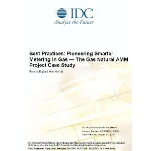  Pioneering Smarter Metering in Gas   The Gas Natural AMM Project 