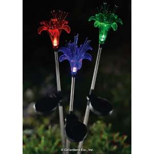  Floral Solar Color Changing Light Stakes 