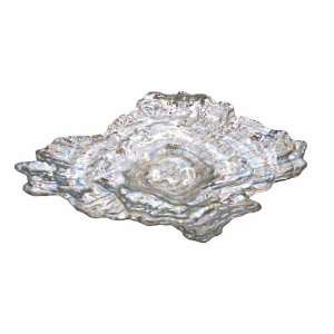  Oyster 18 in. x 13.5 Large Glass Dish