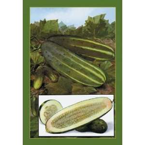  Exclusive By Buyenlarge Cucumbers 20x30 poster