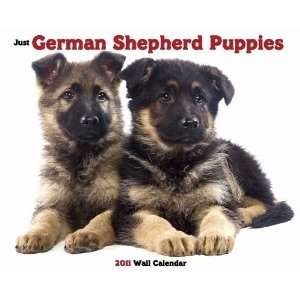  Just German Shepherd Puppies 2011 Wall Calendar Office 