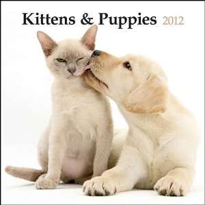 Kittens & Puppies 2012 Wall Calendar