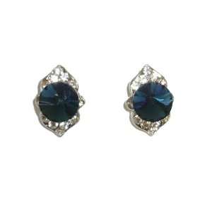  Blue Crystal Center Pierced Earrings Jewelry