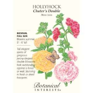  Hollyhock Chaters Double Seeds 100 Seeds Patio, Lawn 