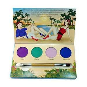  Mineral Eye Shadow Kit Party Girl Beauty