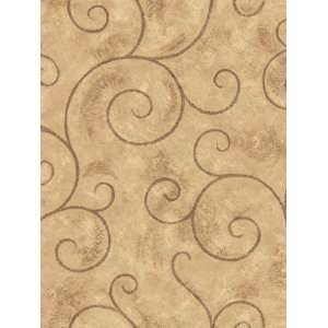  Wallpaper Steves Color Collection   Brown BC1581539
