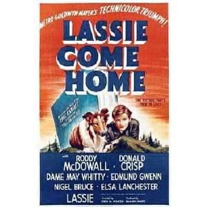  Lassie Come Home   Movie Poster