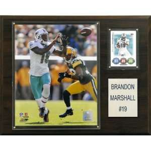  NFL Brandon Marshall Miami Dolphins Player Plaque Sports 