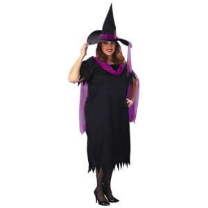 Witch Plus Size Costume  Toys & Games  