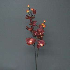   Lighted Merlot Orchids with 16 Bulbs, 31 Inch Tall
