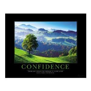  Successories Confidence Tree Motivational Poster Office 