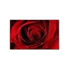 Carsons Collectibles Sticker (Rectangular) of Beautiful Dark Red Rose 